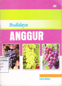 Budidaya Anggur