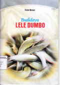 Budidaya Lele Dumbo