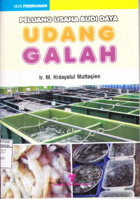 Peluang Usaha Budidaya Udang Galah