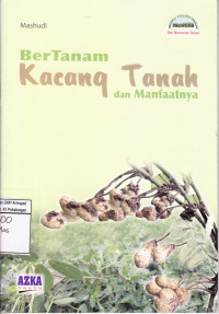 Bertanam Kacang Tanah